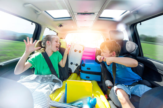 5 fun and engaging games to play to keep the kids entertained on a Road trip!